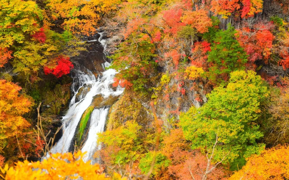 Autumn colour on the Irohazaka mountain road above Nikko